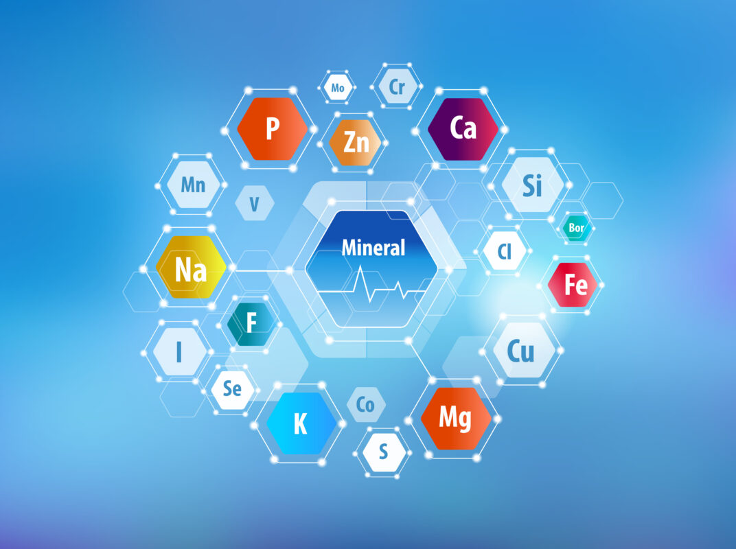 The most principal Minerals