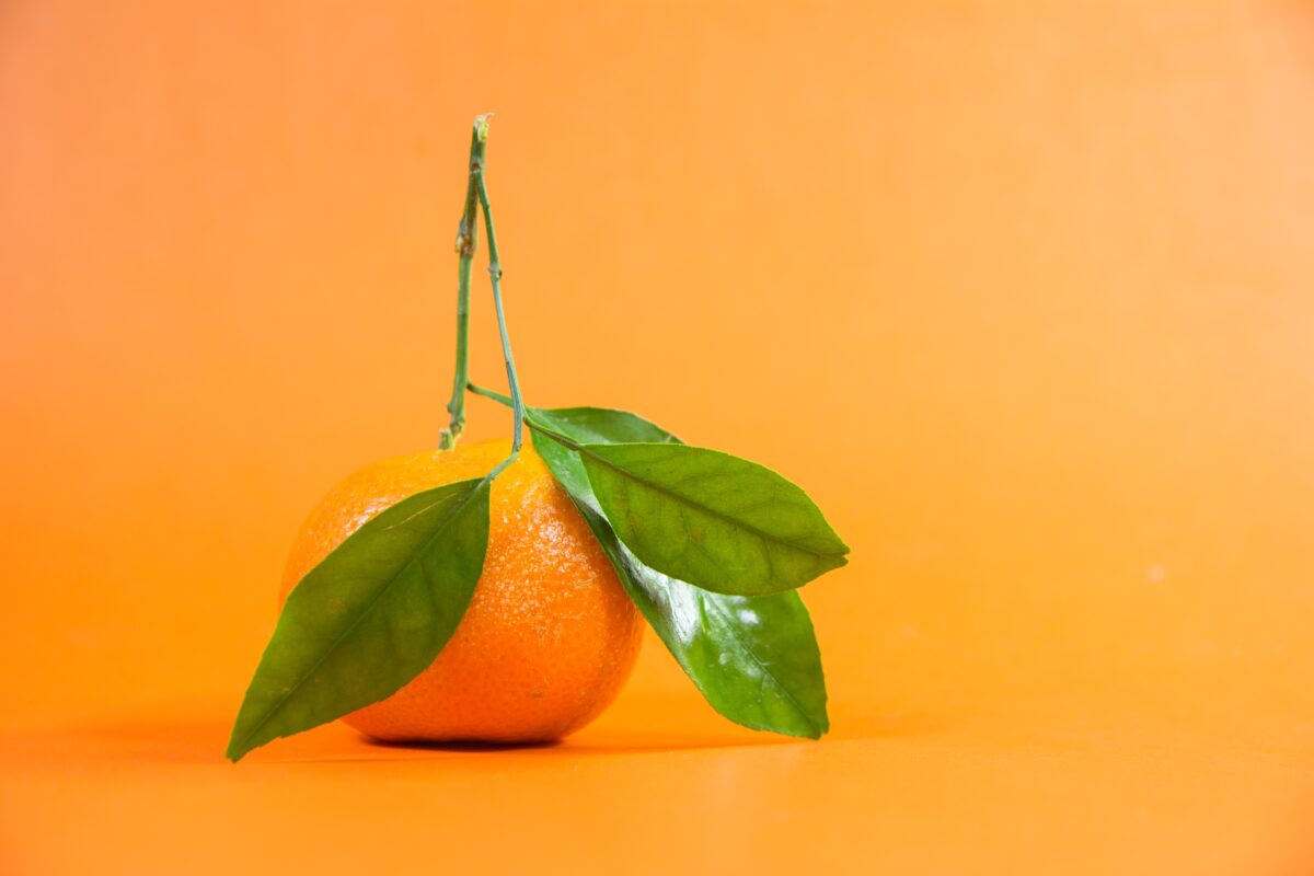 Orange on a orang background